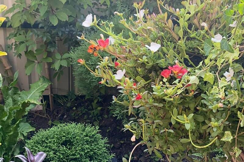 Изображение Изображение гостиницы &quot;Гостевой дом «В гостях у Валентины»&quot; #5 #3