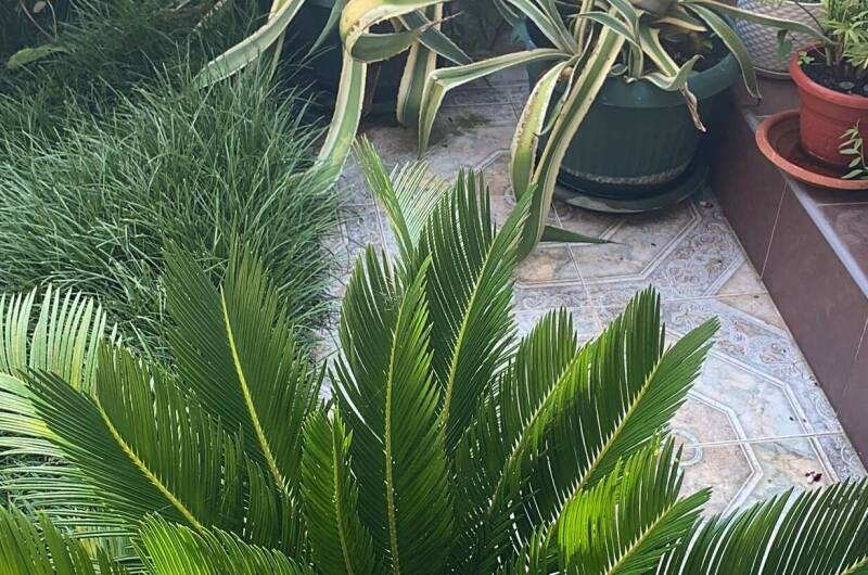 Изображение Изображение гостиницы &quot;Гостевой дом «В гостях у Валентины»&quot; #7 #5