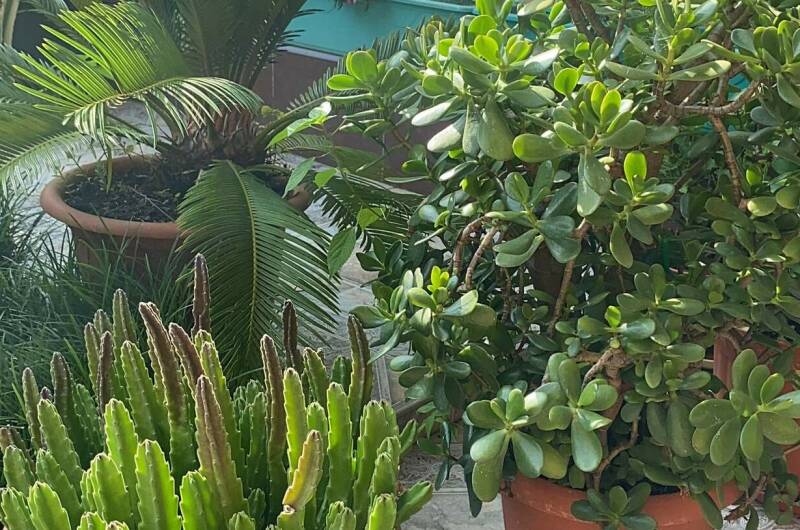 Изображение Изображение гостиницы &quot;Гостевой дом «В гостях у Валентины»&quot; #8 #6