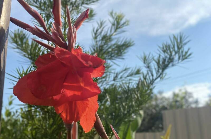 Изображение Изображение гостиницы &quot;Гостевой дом «В гостях у Валентины»&quot; #9 #7