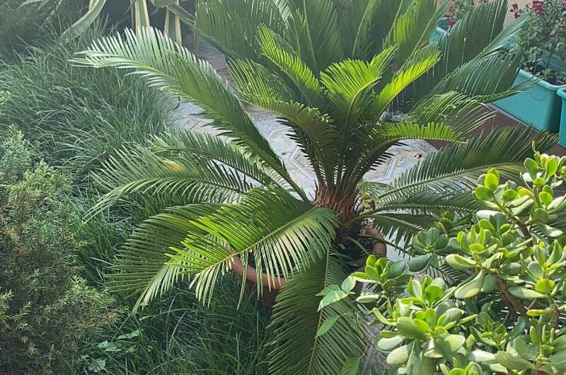 Изображение Изображение гостиницы &quot;Гостевой дом «В гостях у Валентины»&quot; #11 #9