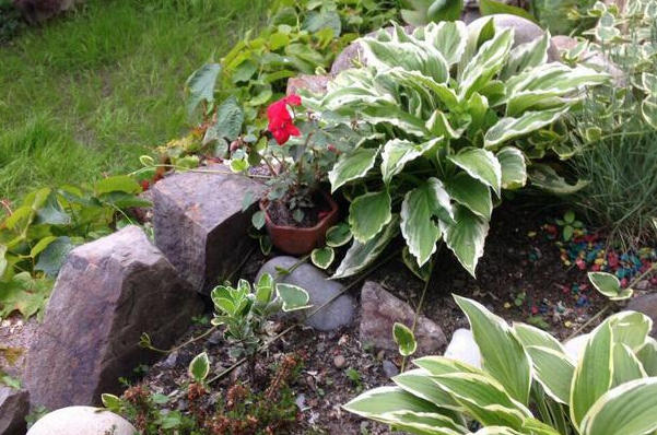 Изображение гостиницы "Гостевой дом «Алые паруса»" #1