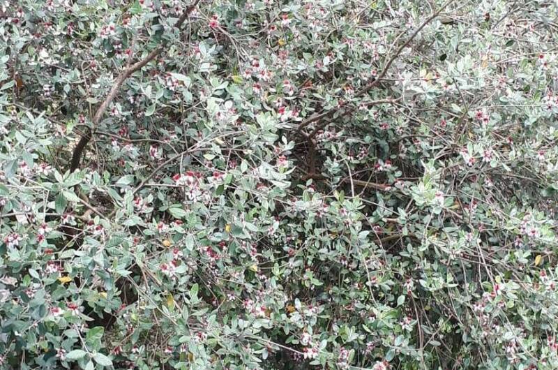 Изображение Изображение гостиницы &quot;Гостевой дом «Алые паруса»&quot; #3 #1