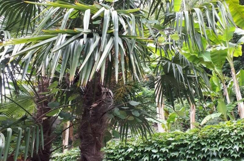 Изображение Изображение гостиницы &quot;Гостевой дом «Алые паруса»&quot; #6 #4