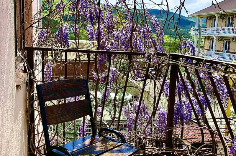 Изображение Изображение гостиницы &quot;Дом «Золотая рыбка»&quot; #4 #2