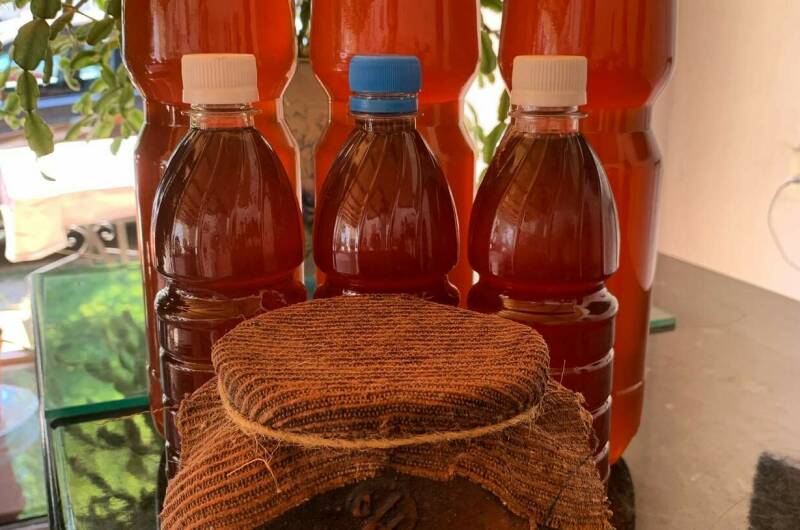 Изображение Изображение гостиницы &quot;Гостевой дом «Пицунда»&quot; #7 #5