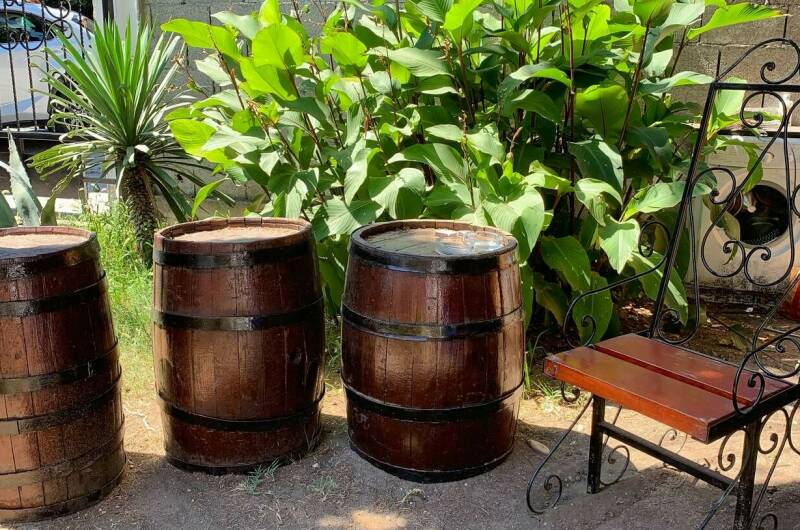 Изображение Изображение гостиницы &quot;Гостевой дом «Пицунда»&quot; #11 #9