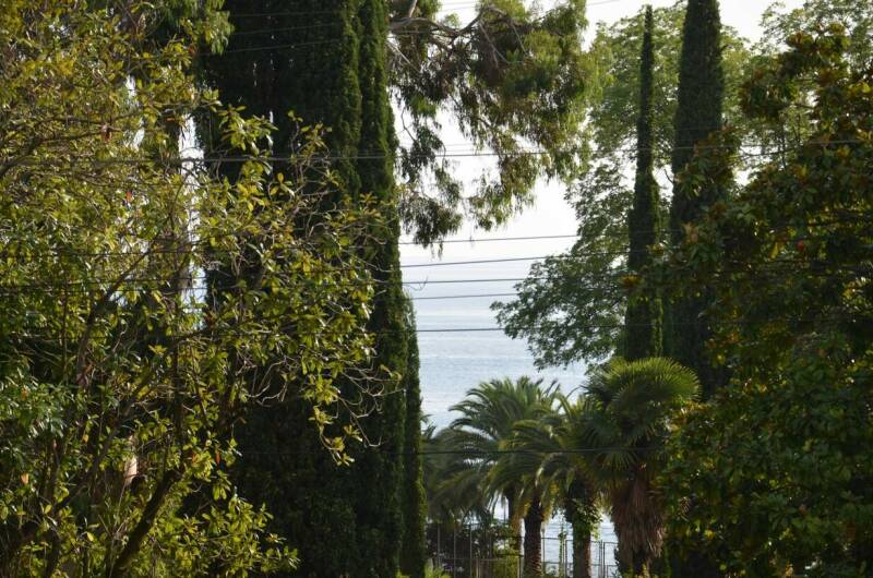 Изображение Изображение гостиницы &quot;Отель «Афалина»&quot; #4 #2