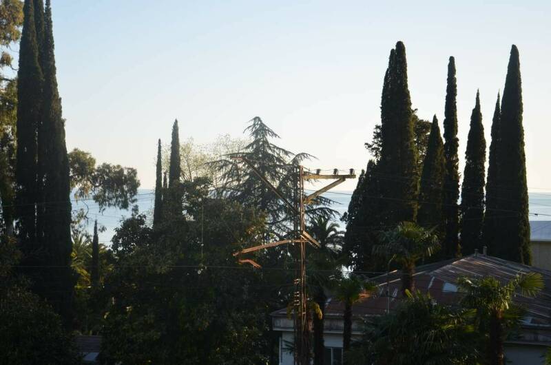 Изображение Изображение гостиницы &quot;Отель «Афалина»&quot; #6 #4