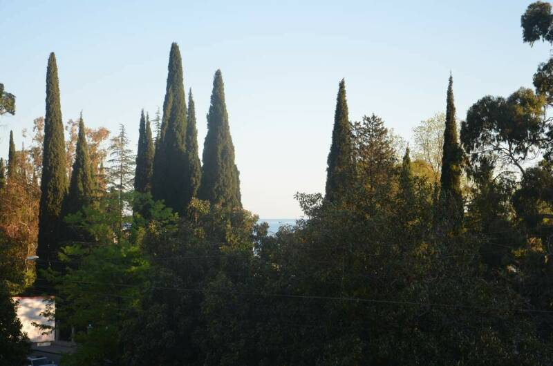 Изображение Изображение гостиницы &quot;Отель «Афалина»&quot; #8 #6