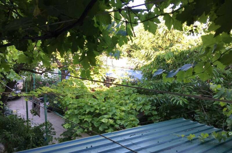 Изображение Изображение гостиницы &quot;Частный сектор «На Головина»&quot; #6 #4