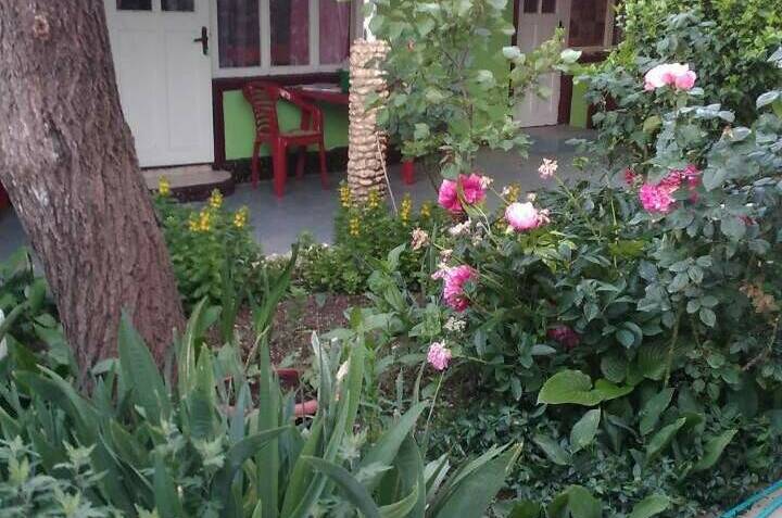 Изображение Изображение гостиницы &quot;Частный сектор «На Головина»&quot; #8 #6