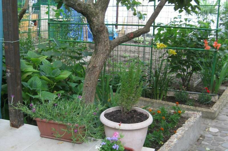 Изображение Изображение квартиры &quot;Дом под ключ в центре&quot; #7 #5