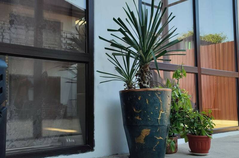 Изображение Изображение гостиницы &quot;Мини-гостиница «Оазис»&quot; #11 #9