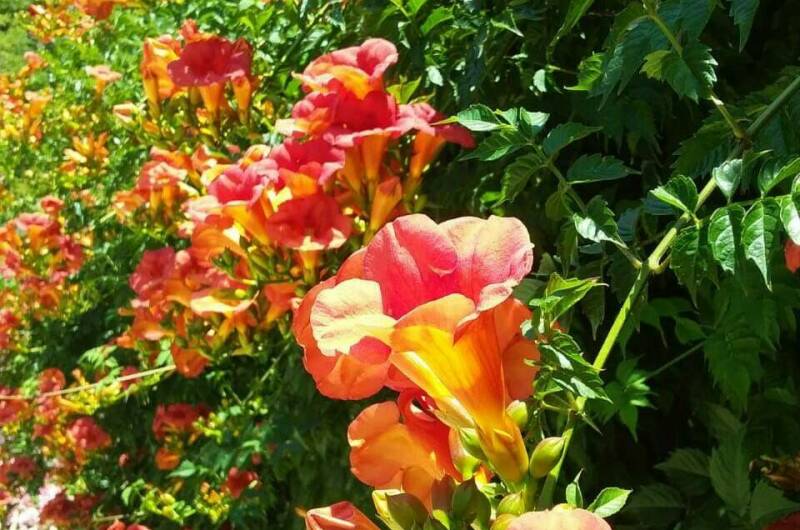 Изображение Изображение квартиры &quot;Домик под ключ «Вишня»&quot; #3 #1