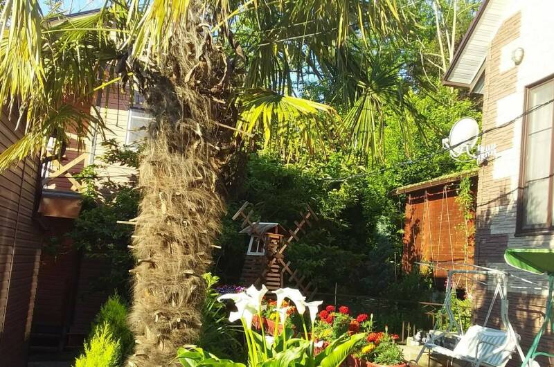 Изображение Изображение квартиры &quot;Домик под ключ «Вишня»&quot; #4 #2