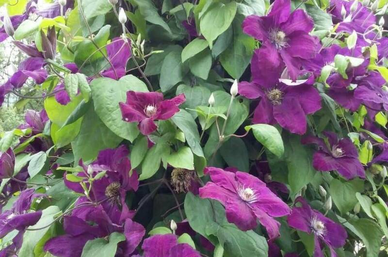 Изображение Изображение квартиры &quot;Домик под ключ «Вишня»&quot; #5 #3