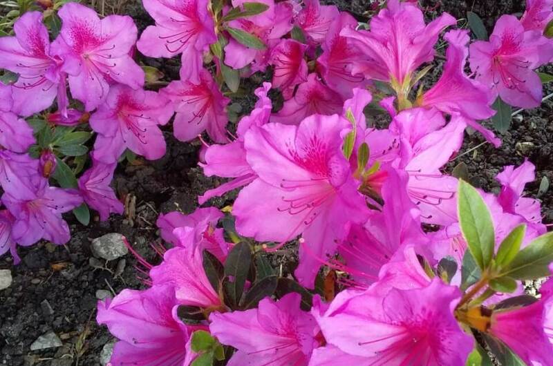 Изображение Изображение квартиры &quot;Домик под ключ «Вишня»&quot; #6 #4