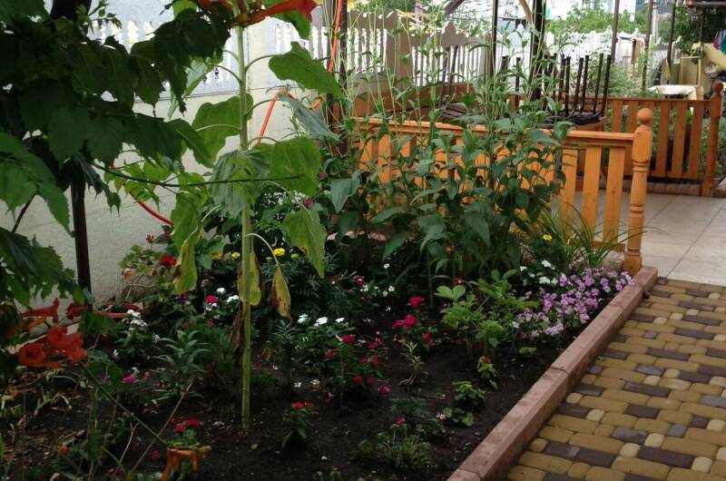 Изображение Изображение квартиры &quot;Дом под ключ на 5 человек&quot; #8 #6