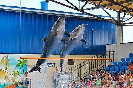 Изображение Изображение гостиницы &quot;Гостевой дом «Солнечный»&quot; #8 #6