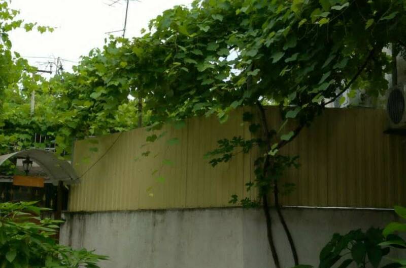 Изображение Изображение гостиницы &quot;Гостевой дом «Анаида»&quot; #8 #6