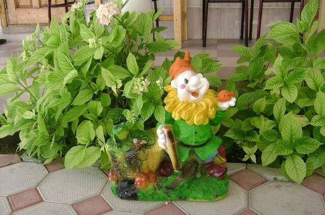 Изображение Изображение гостиницы &quot;Гостевой дом «Встреча»&quot; #11 #9