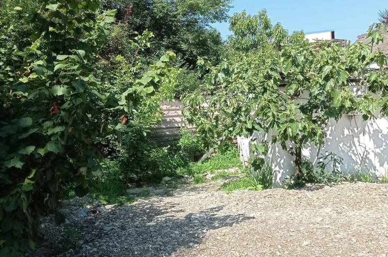 Изображение Изображение гостиницы &quot;Частный сектор «У Алены и Александра»&quot; #3 #1