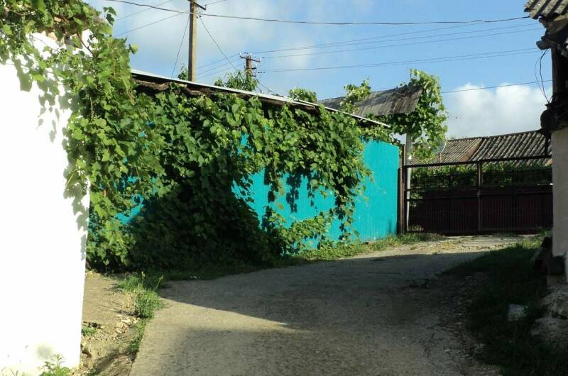 Изображение Изображение гостиницы &quot;Частный сектор «У Алены и Александра»&quot; #5 #3