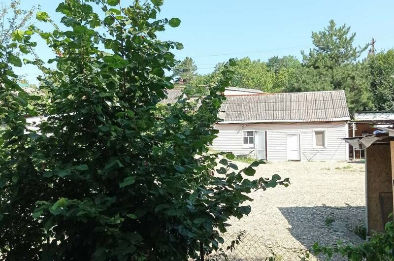 Изображение Изображение гостиницы &quot;Частный сектор «У Алены и Александра»&quot; #7 #5