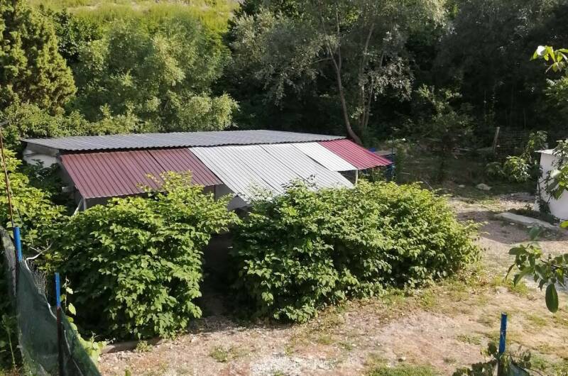 Изображение Изображение гостиницы &quot;Частный сектор «У Алены и Александра»&quot; #8 #6