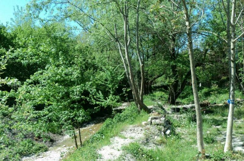 Изображение Изображение гостиницы &quot;Частный сектор «У Алены и Александра»&quot; #9 #7