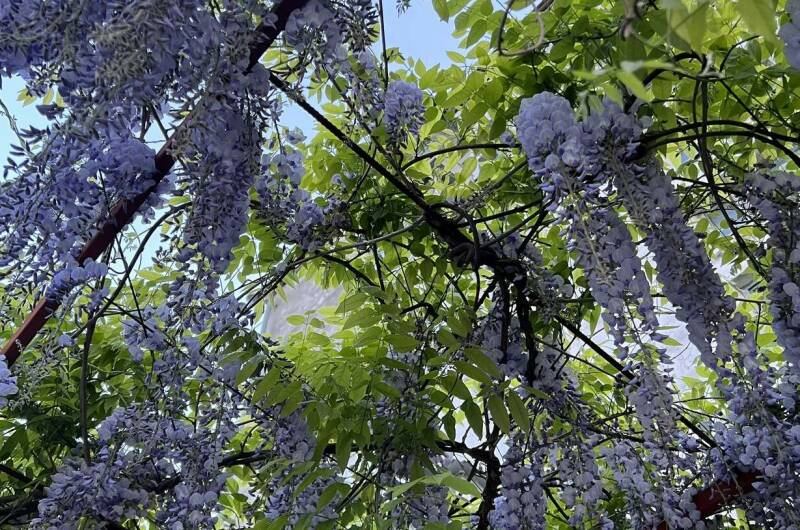 Изображение Изображение гостиницы &quot;Гостевой дом «У Анны»&quot; #11 #9