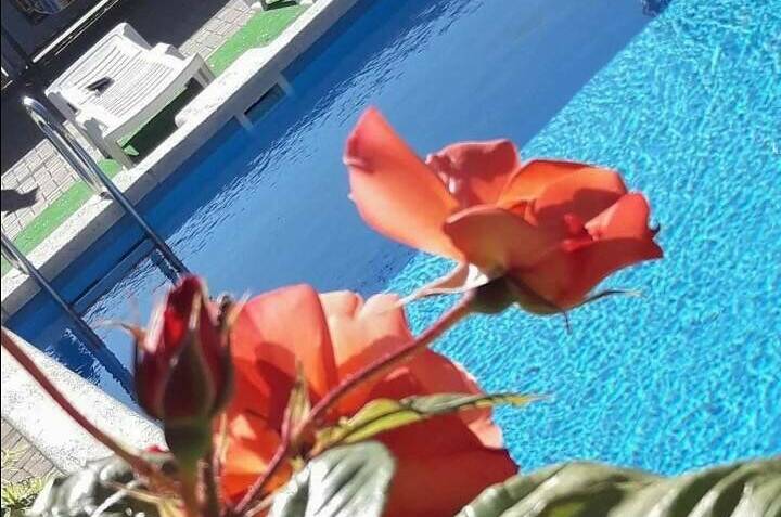 Изображение Изображение гостиницы &quot;Гостевой дом «Морская миля»&quot; #9 #7