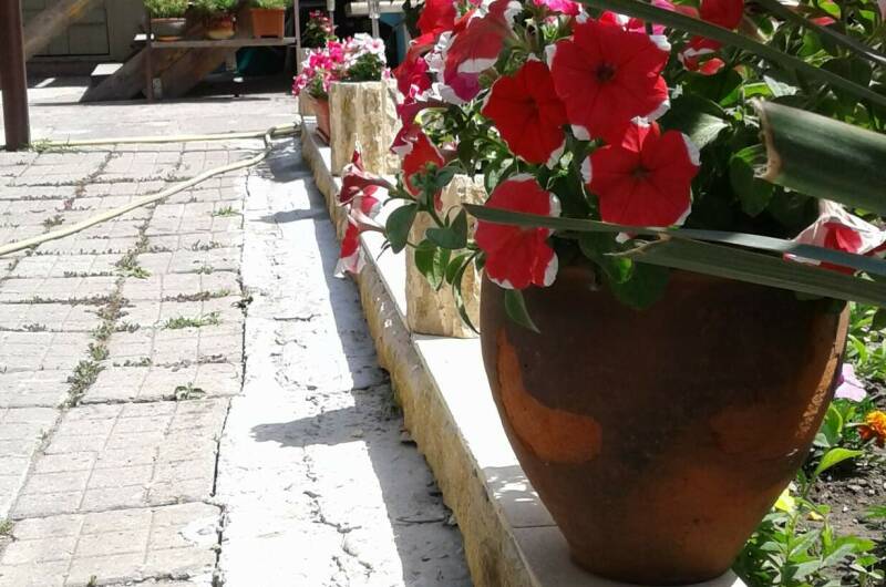 Изображение Изображение гостиницы &quot;Частный сектор «Свой дом»&quot; #4 #2