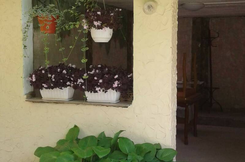 Изображение Изображение гостиницы &quot;Частный сектор «Свой дом»&quot; #5 #3