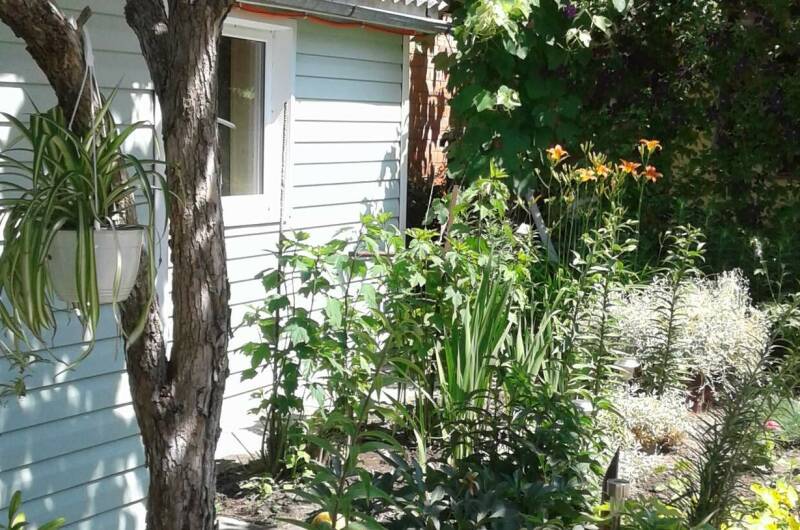 Изображение Изображение гостиницы &quot;Частный сектор «Свой дом»&quot; #6 #4