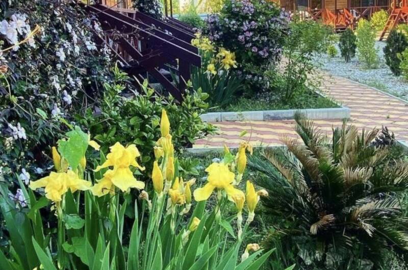 Изображение Изображение гостиницы &quot;Гостевые домики «MiMi»&quot; #7 #5