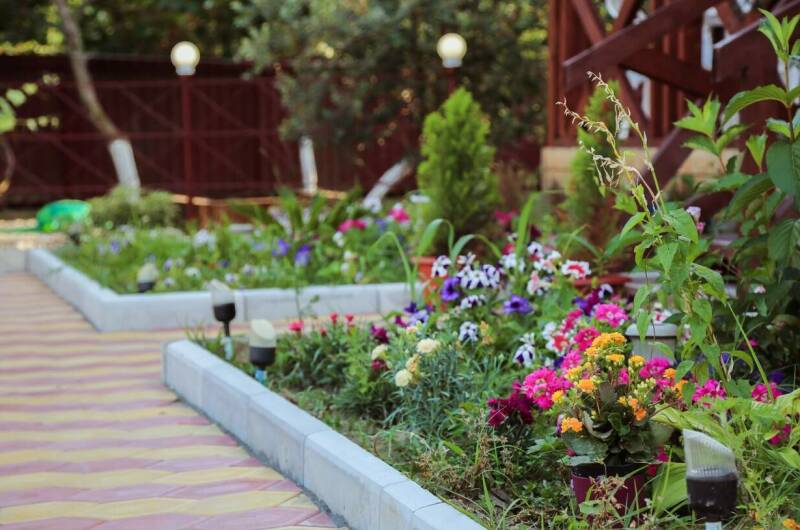 Изображение Изображение гостиницы &quot;Гостевые домики «MiMi»&quot; #10 #8