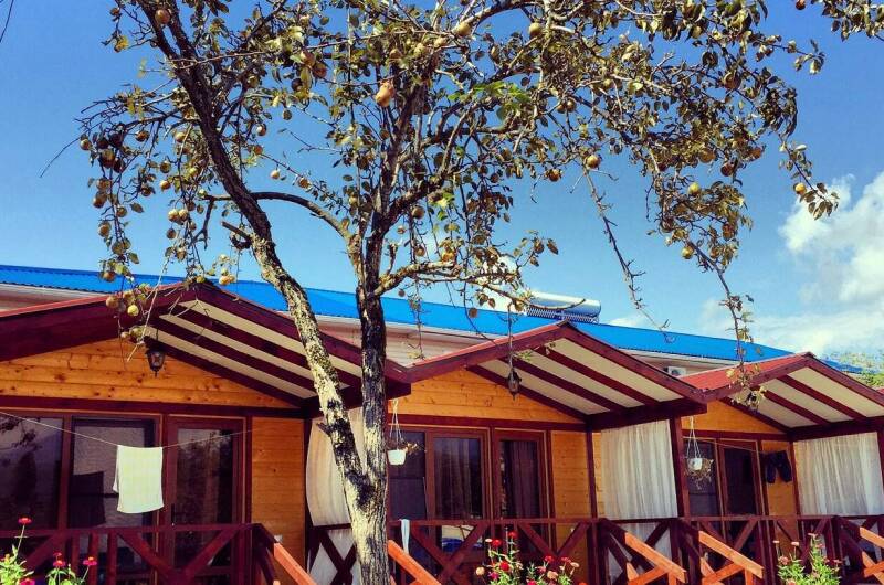 Изображение Изображение гостиницы &quot;Гостевые домики «MiMi»&quot; #11 #9