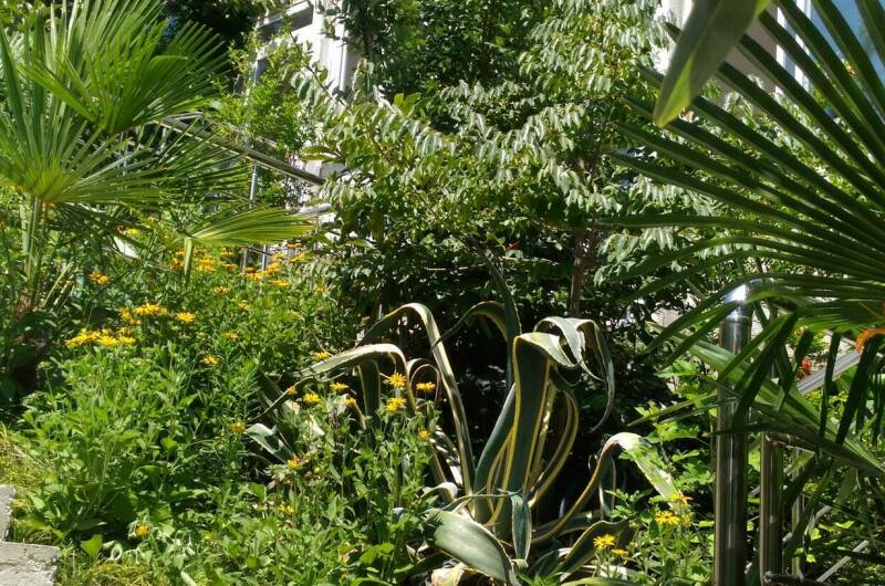 Изображение гостиницы "Частный дом «Анастасия»" #1