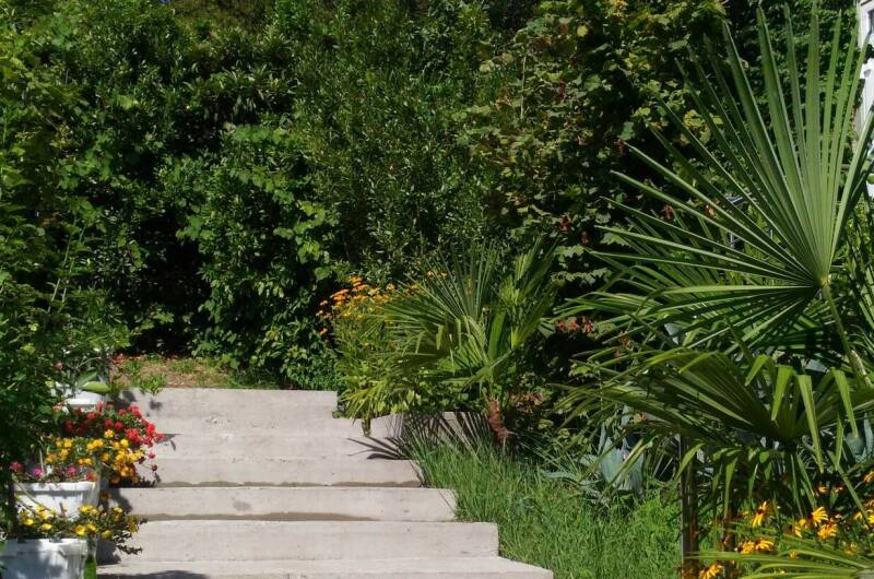 Изображение Изображение гостиницы &quot;Частный дом «Анастасия»&quot; #3 #1