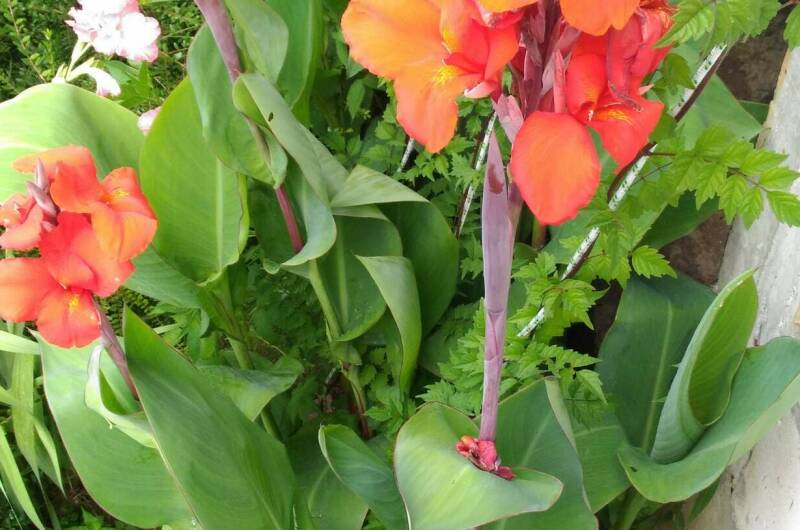 Изображение Изображение гостиницы &quot;Частный дом «Анастасия»&quot; #5 #3