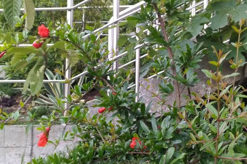 Изображение Изображение гостиницы &quot;Частный дом «Анастасия»&quot; #10 #8