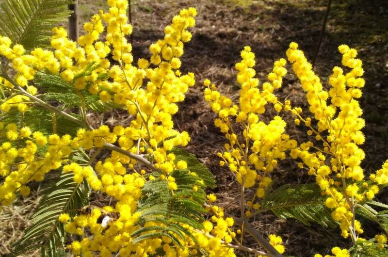 Изображение Изображение гостиницы &quot;Частный дом «Анастасия»&quot; #11 #9