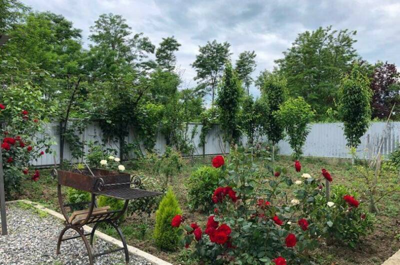 Изображение Изображение гостиницы &quot;Гостевой дом «Санта-София»&quot; #6 #4