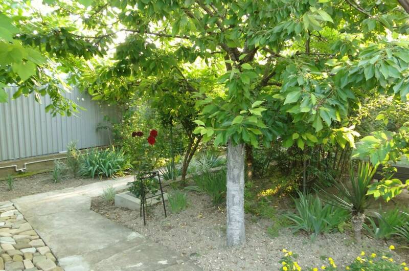 Изображение Изображение гостиницы &quot;Гостевой дом «Под соснами»&quot; #6 #4