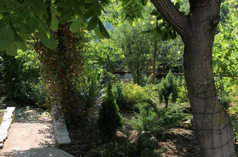 Изображение Изображение гостиницы &quot;Гостевой дом «Под соснами»&quot; #7 #5