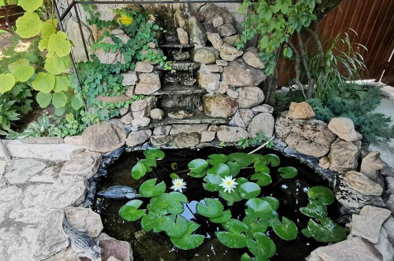 Изображение Изображение гостиницы &quot;Гостевой дом «Райский островок»&quot; #5 #3