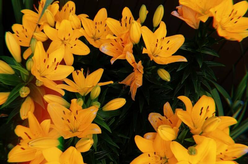 Изображение Изображение гостиницы &quot;Гостевой дом «Аэлита»&quot; #9 #7