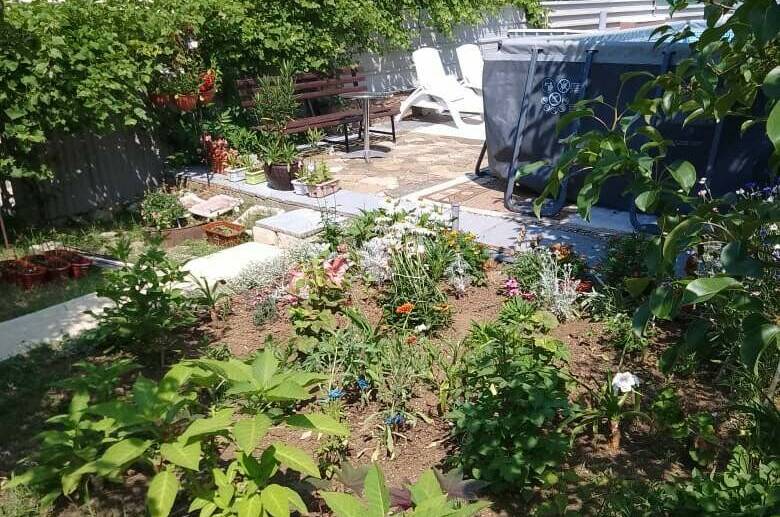 Изображение Изображение гостиницы &quot;Гостевой дом «Облака»&quot; #8 #6